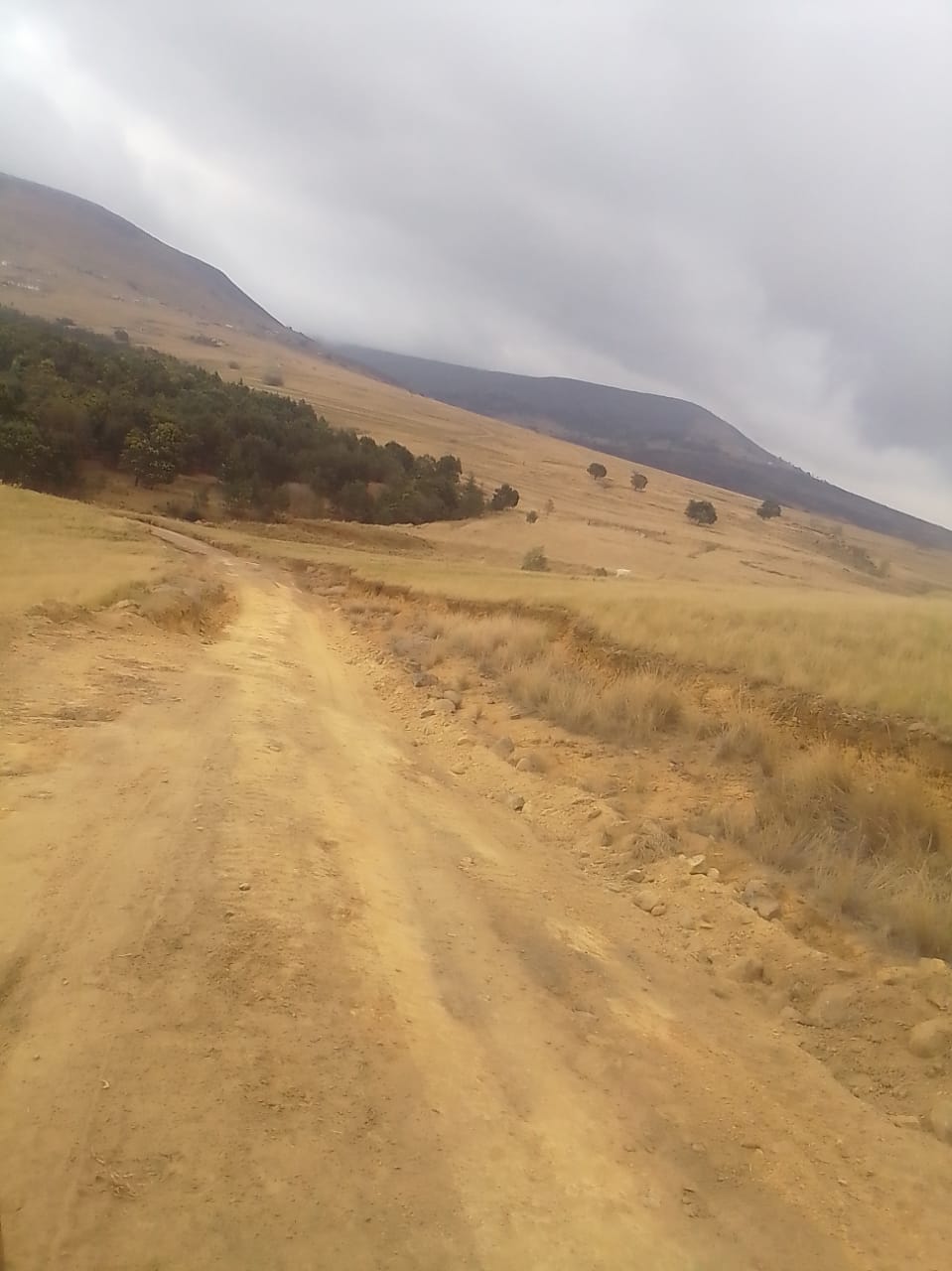 WhatsApp Image 2024-08-23 at 13.17.57 (2)